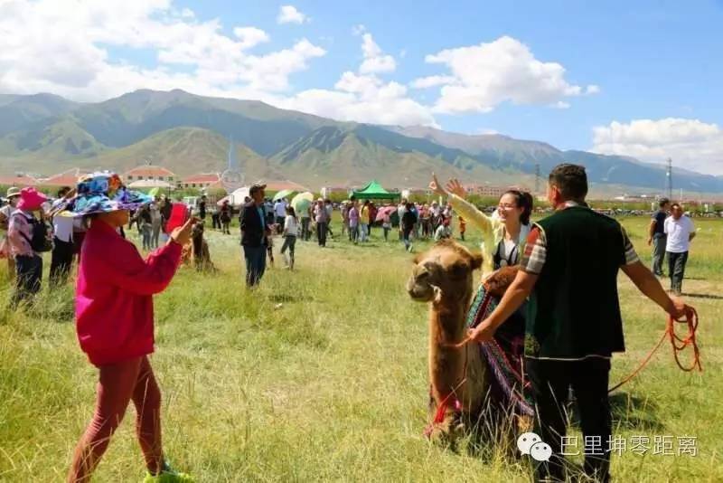 哈密少数民族运动会,巴里坤哈萨克自治县马拉松比赛