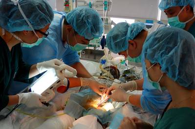 摄影大赛最美瞬间,摄影大赛不负韶光