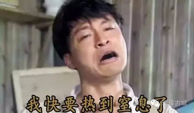 黑河告别冒牌西瓜,当地北三家西瓜可以认证啦!