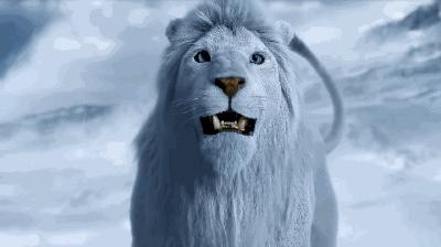 幻城被批五毛特效,幻城最新特效