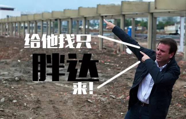 本届巴西奥组委：谁能帮我海淘只熊猫？