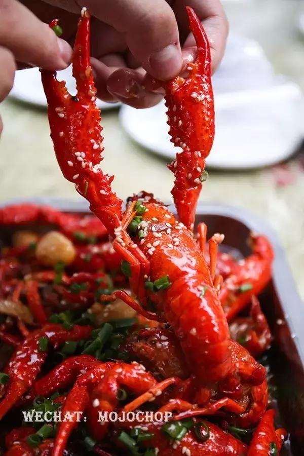 庄里最有特色的麻小全攻略，不信有人吃全过！——石家庄美食