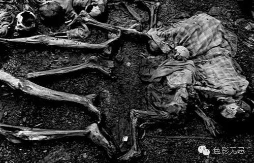 经历了枪林弹雨的岁月,经历了战场的腥风血雨