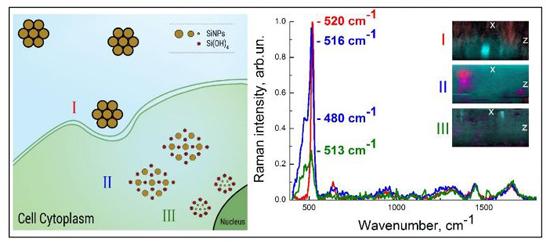 纳米颗粒治疗癌什么时候临床,磁性纳米颗粒治疗癌症