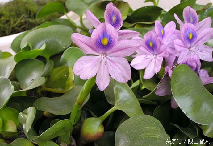 富春江严子陵钓台到衢州市距离,严子陵钓鱼台景区