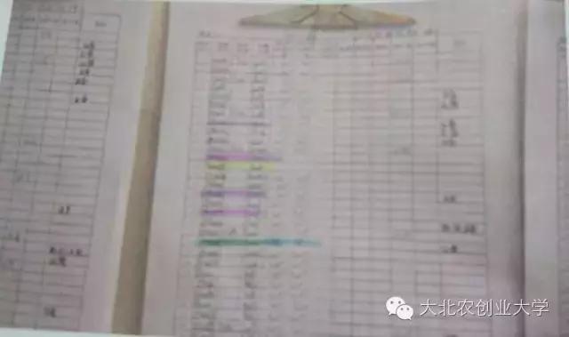 母猪妊娠检查最佳时间,母猪早期妊娠诊断的方法有哪些