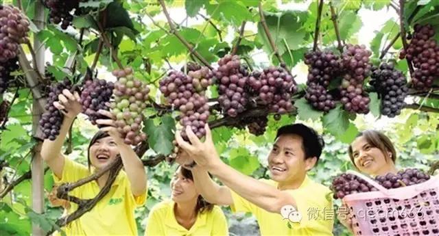 想搞电商学什么好,想搞直播电商怎么做呢