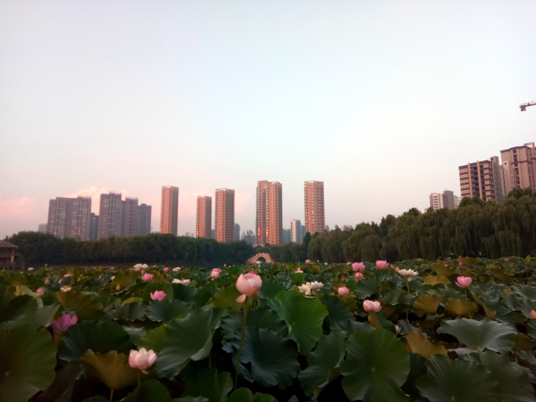 小品牌性价比电动车,酷比max5参数