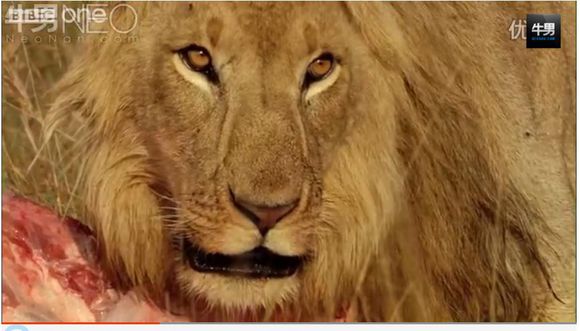 kindle真的值得买吗,kindle哪个版本最值得买