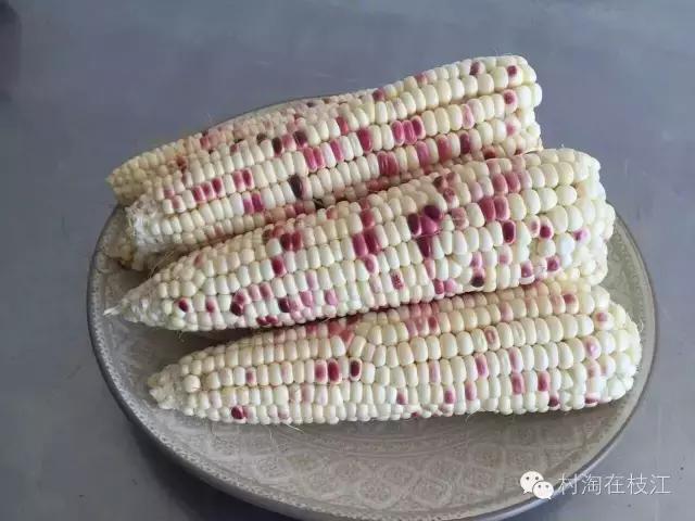 一个农村80后女孩的创业,80后农村女性创业故事