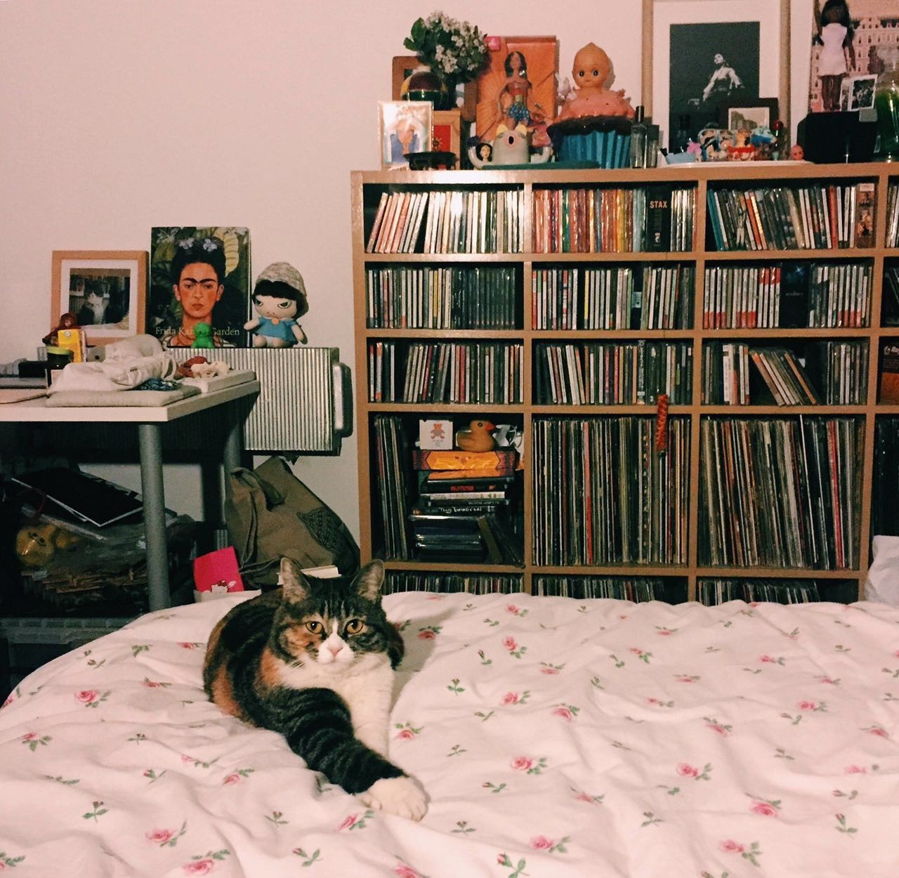 女生花1700改造破旧出租屋,90后女生独自租房改造毛坯房