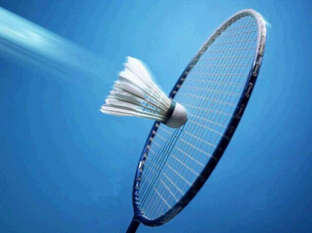 中国十大羽毛球拍品牌排行榜,好用羽毛球拍品牌有哪些