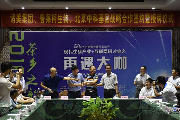 互联网如何加养猪？河南养猪协会喊这些大佬回答