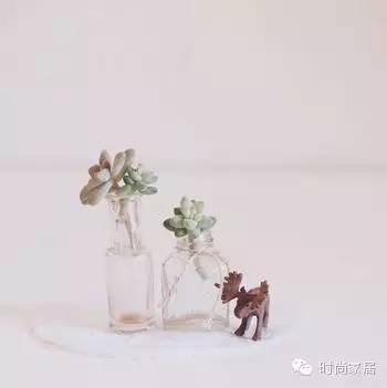 回收的玻璃瓶有什么用处,玻璃瓶有哪些效果