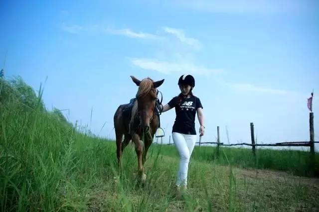 韩城黄河骑马,韩城古城骑马