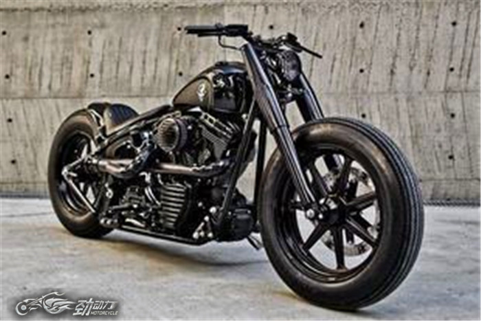 哈雷戴维森1200custom改装,哈雷戴维森1200需要更换几种油