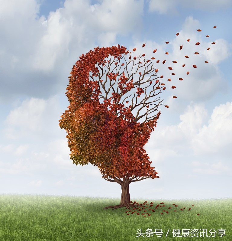 奥运会运动健儿,奥运会运动健儿有谁