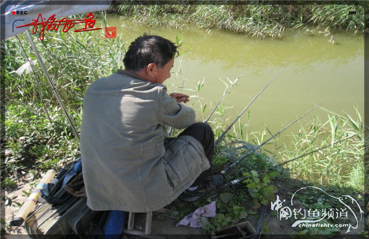 户外野钓小河沟七星鱼,鲫鱼野钓小河沟