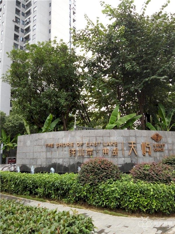 纯水岸东湖解读,武汉东湖纯水岸房价