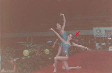 文体不分家是谁提出来的,文体不分家下一句