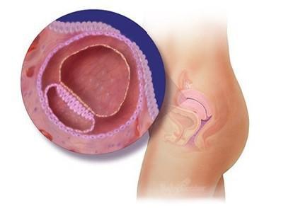 惊奇宝宝第一季,怀孕过程中的十大惊奇发现