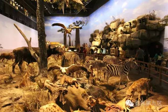 宁波出发高铁4-5小时能到哪里,宁波出发坐高铁三日游推荐