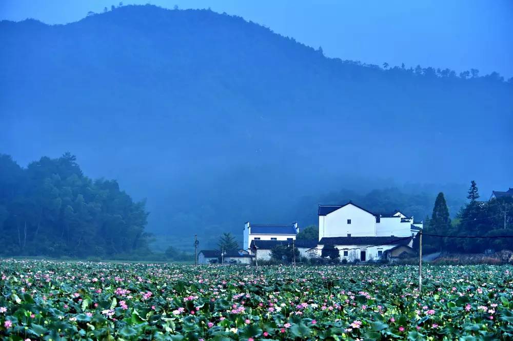 酷暑走徽州，查济二三事