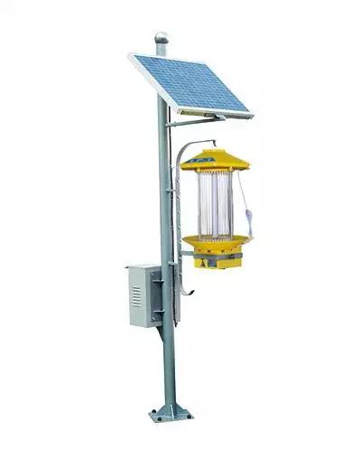 怎么样蚊子才能死,怎样才能干死蚊子