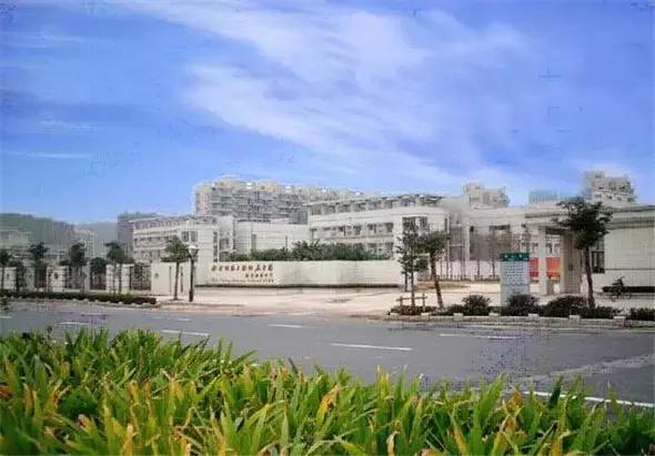 河西教育分析,河西教育趋势