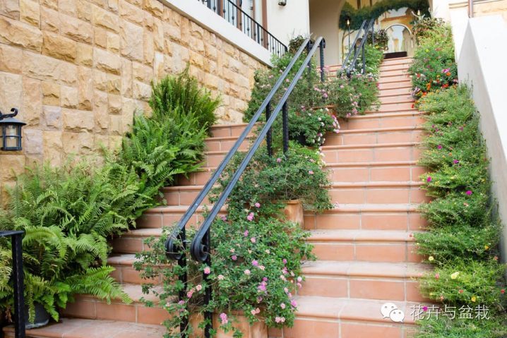 走到哪都是风景视频,走到哪里都是美景