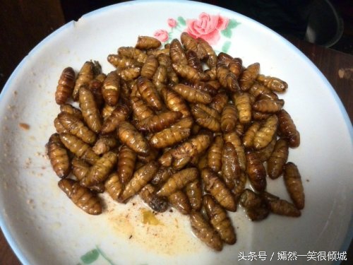 对男人补肾的食物,让男人补肾壮阳的药物