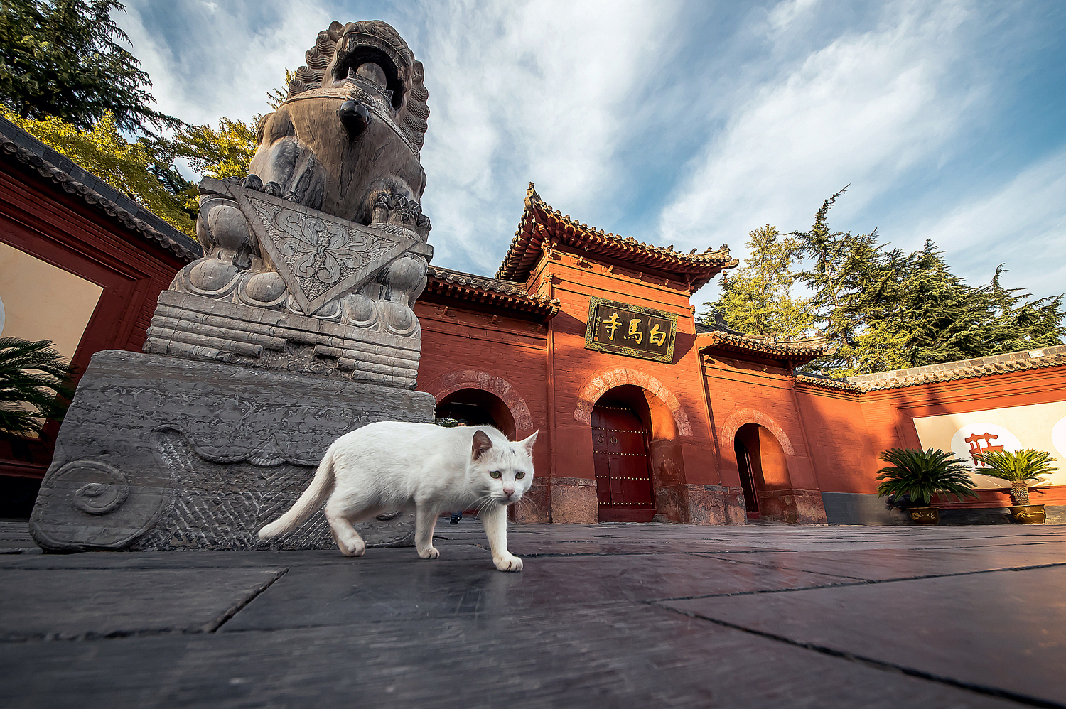 洛阳古都摄影作品,洛阳最美风景摄影
