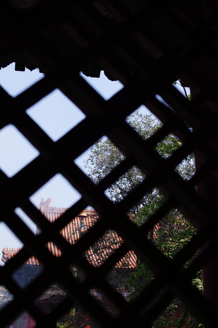 适马sdquattroh值不值得入手,适马sdquattroh配镜头