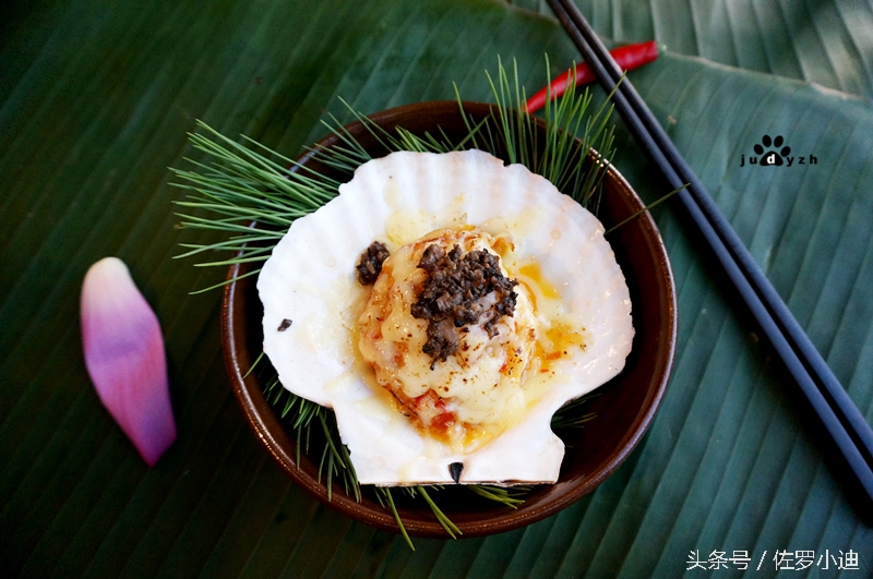 一晴方觉夏深，赴一场蘑菇的饕餮盛宴