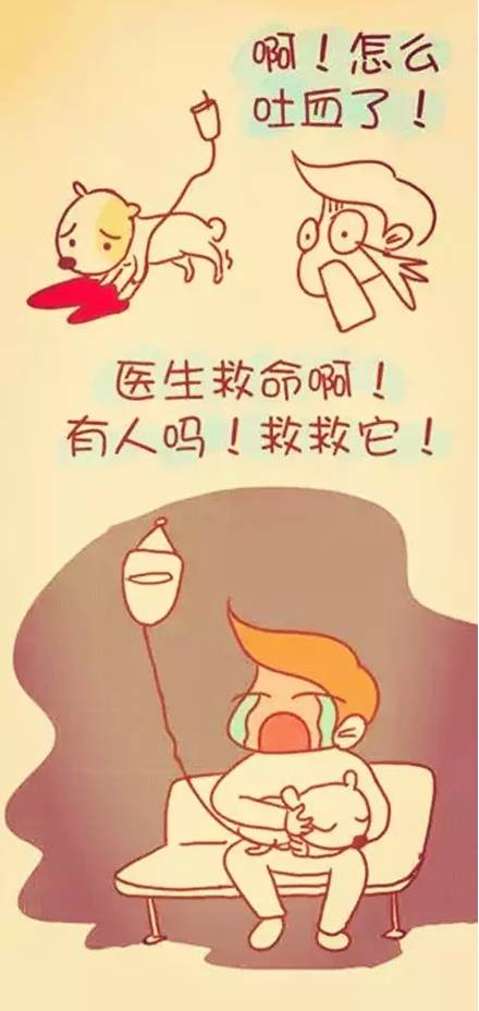 陪伴是最长情的告白你同意吗,陪伴是最长情的告白请勿连赞