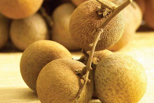 补脑第一名中药材,补脑第一保健品