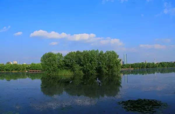 最新长沙旅游推荐,去长沙旅游必去的景点有哪些