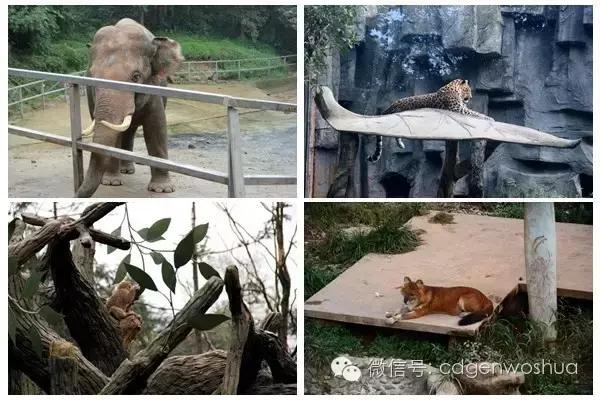 这个暑假值得带孩子去的地方,假期孩子最适合去的地方