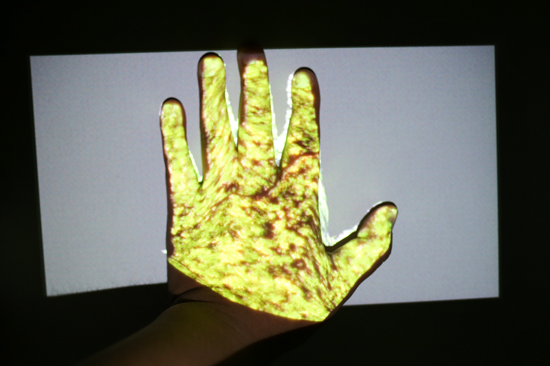 和小媚一起看电影！神画小媚微投体验