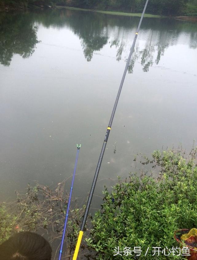 老鬼鱼饵料钓鳊鱼,老鬼专钓鳊鱼饵料配方