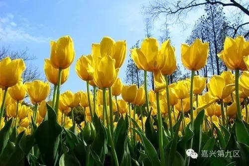 宁波出发高铁4-5小时能到哪里,宁波出发坐高铁三日游推荐