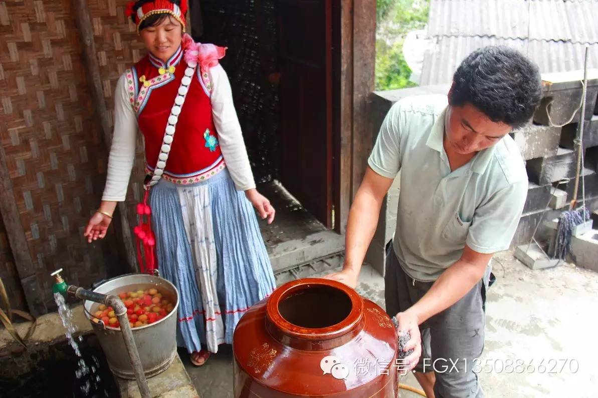 山里野生的杨梅你吃过吗,杨梅佳酿你们喝过吗