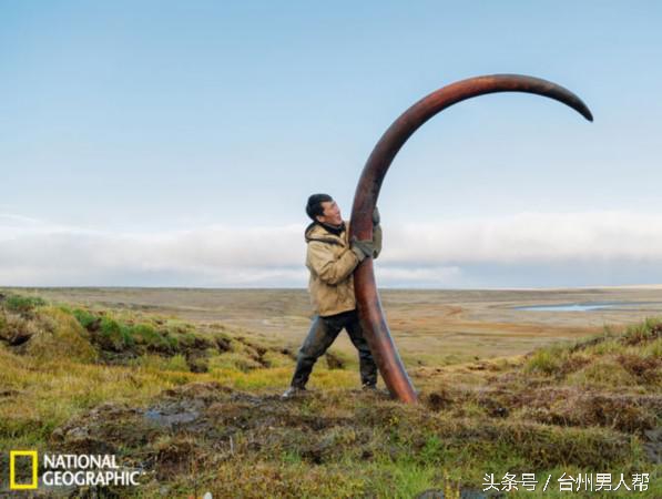 藏古猛犸象牙,藏传猛犸象牙老戒指