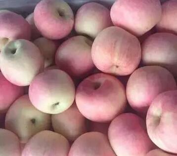 上火长疖子的人吃什么降火最快,上火了长痘怎样降火最快