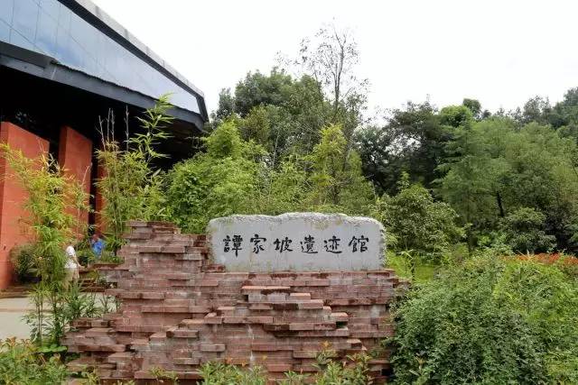 最新长沙旅游推荐,去长沙旅游必去的景点有哪些