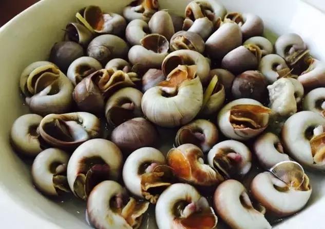 浙江最美的6个渔村,浙江最美渔村