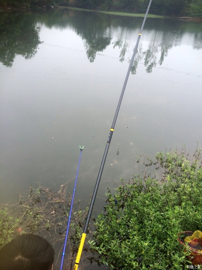 老鬼鳊鱼饵料配方,老鬼钓鳊鱼饵料