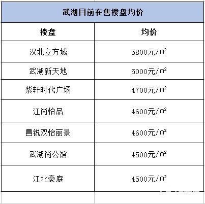 轨道交通21号线要延伸至新洲区吗,武湖地铁23号线站点