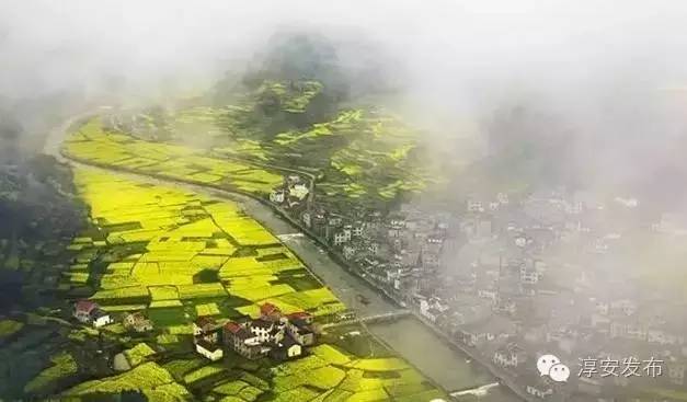 大墅介绍,大墅简介