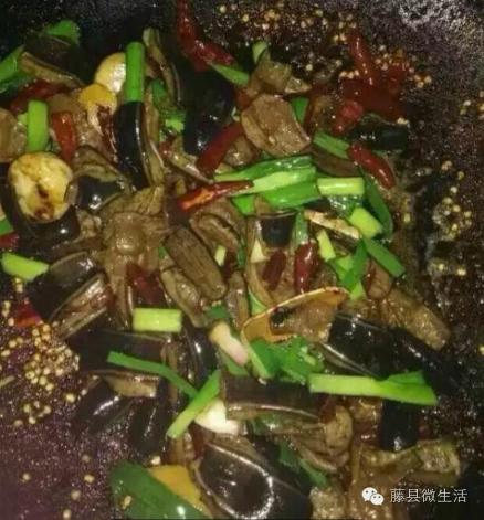 农田里吸血的虫叫什么,田里有一种吸血动物